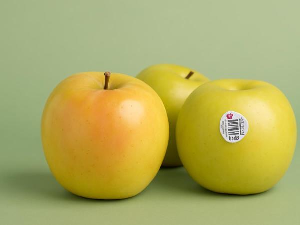 Was ist der Unterschied zwischen roten und goldenen Äpfeln?